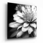 Flower Glass Wall Art.